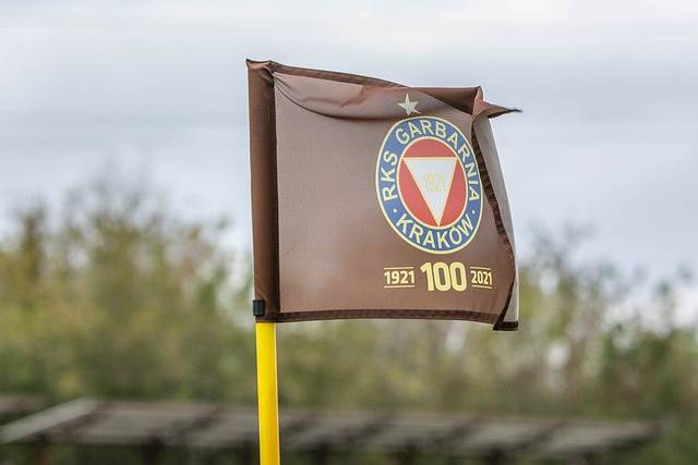 萊這樣的明 萊這樣的明