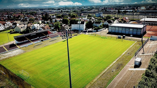 维罗纳的新 维罗纳的新