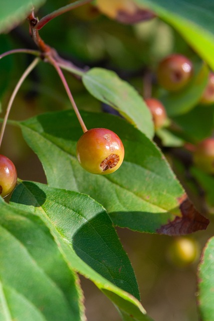 带来沉浸式 带来沉浸式