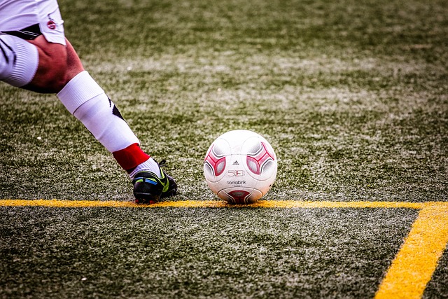 展稳定的双 展稳定的双