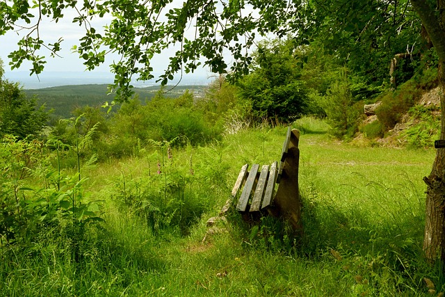 可以以长远 可以以长远