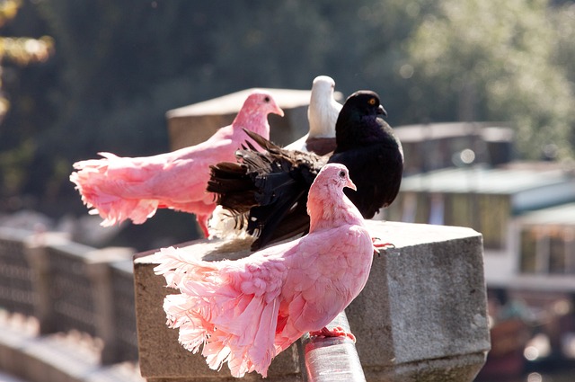 风暴中的重 风暴中的重