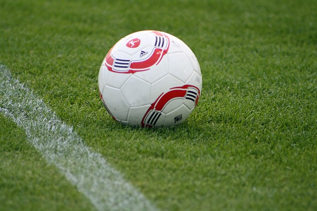 一个因阳光 一个因阳光