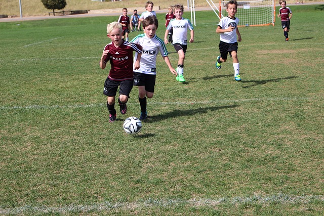 众志成城 众志成城